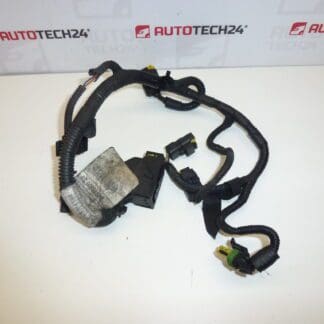 CITRON Peugeot AG0085430C 2529X2 robotic transmission harness