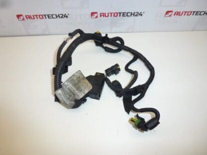 CITRON Peugeot AG0085430C 2529X2 robotic transmission harness