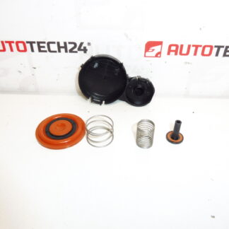 Valve cover diaphragm kit 1.6 HDI 0248S0