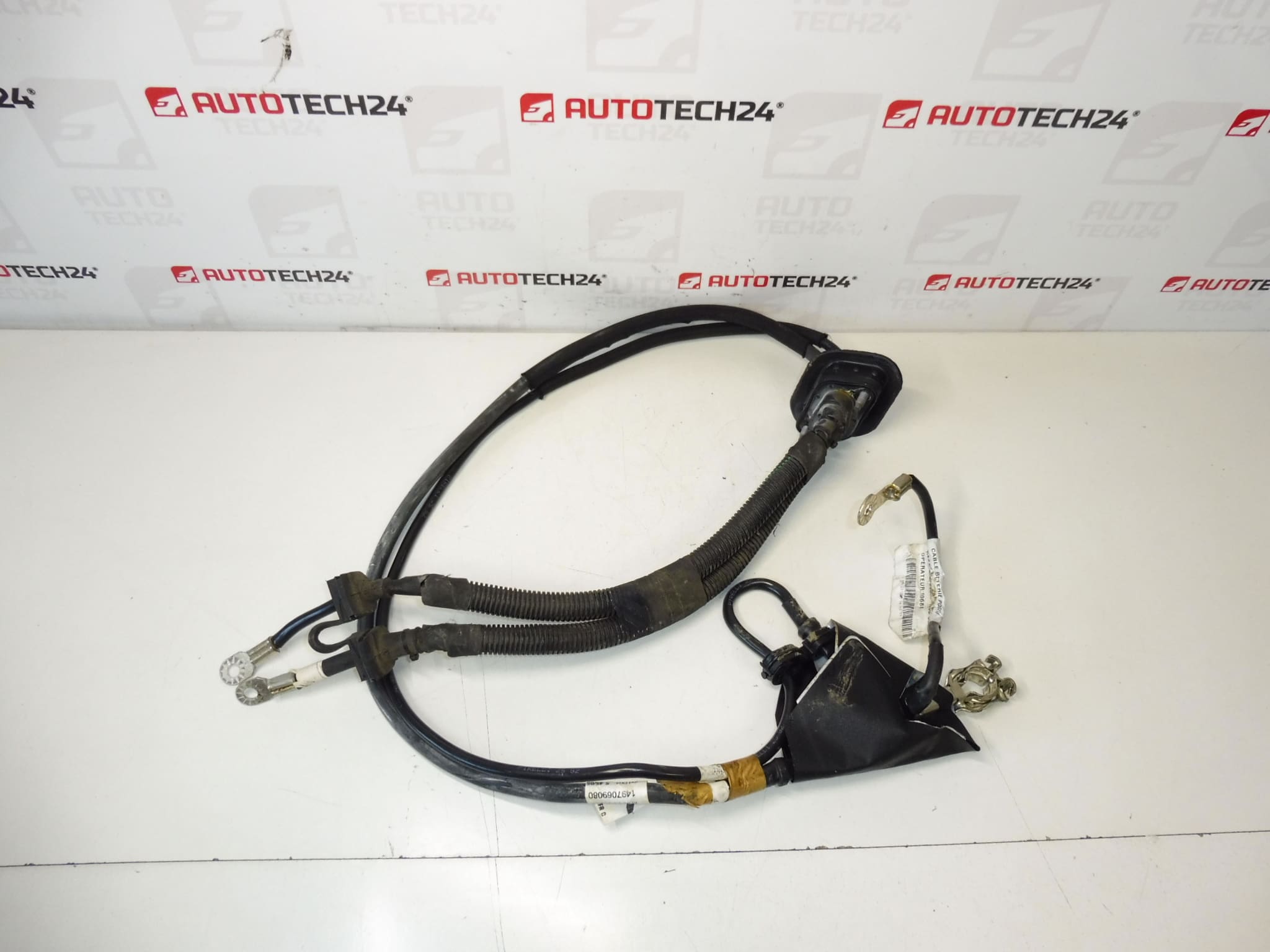 Connection cable + pole in Citroën Peugeot 1497069080 1497070080 engine