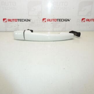 Citroën Peugeot EWBP 9101GH door handle