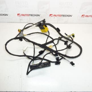 Citroen C4 Picasso Valeo 5243596 driver seat