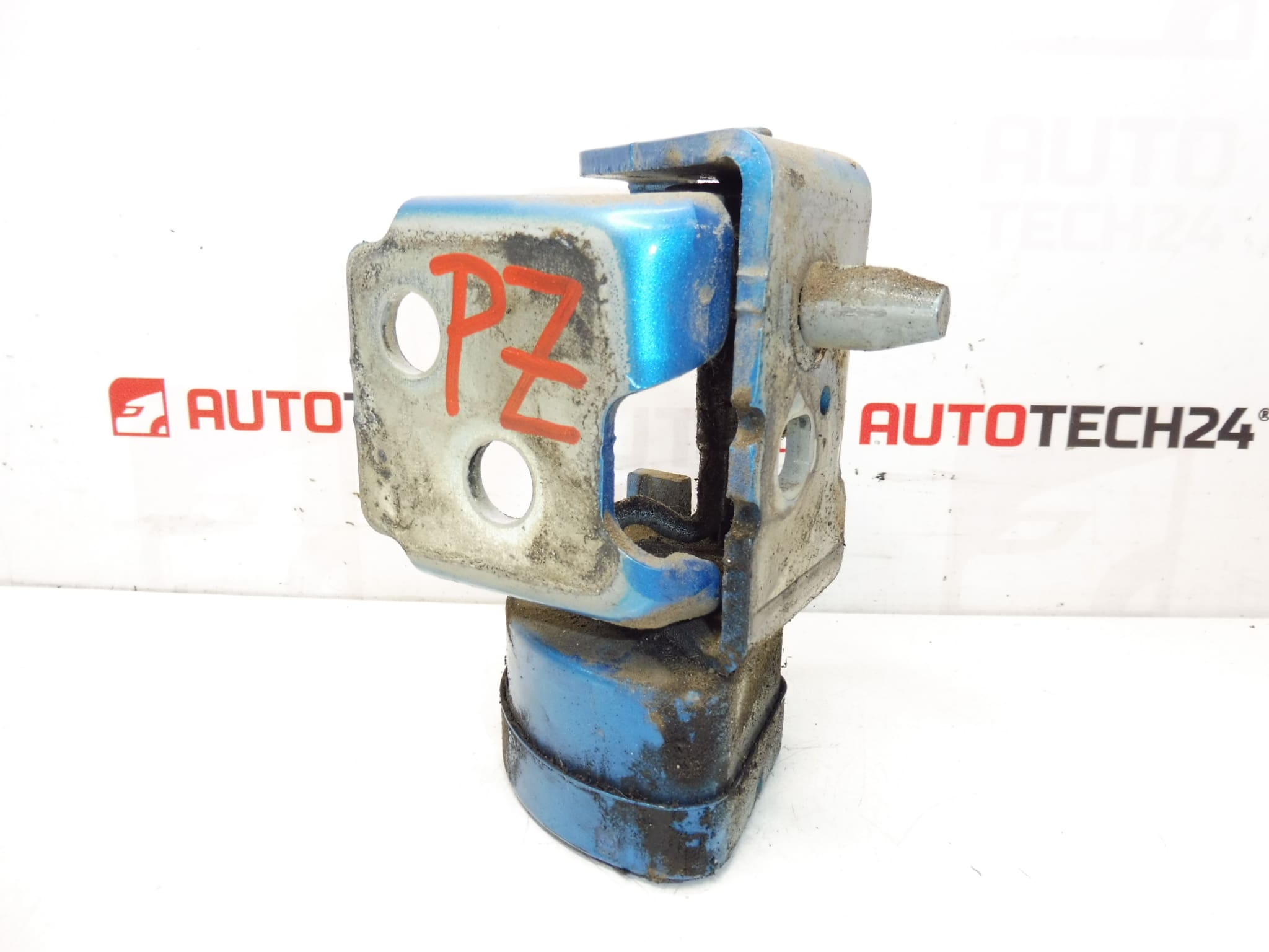 Right Rear Door Hinge Stop KGWC Citroen C3 Picasso 9035CN - Image 2