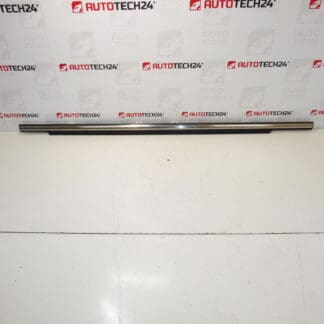 Citroen C-Crosser Peugeot 4007 9309p6 rear door