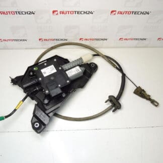 Electronic handbrake Peugeot 3008 I 0204280099 9684898480 470209