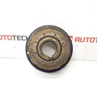 Crank Pulley 1.6 HDI Citroën 9810698080 0805E5