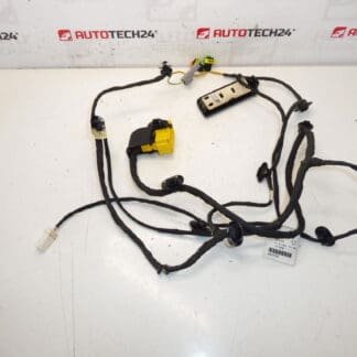 Citroen C4 Picasso 6505V3 Driver's Seat Harness