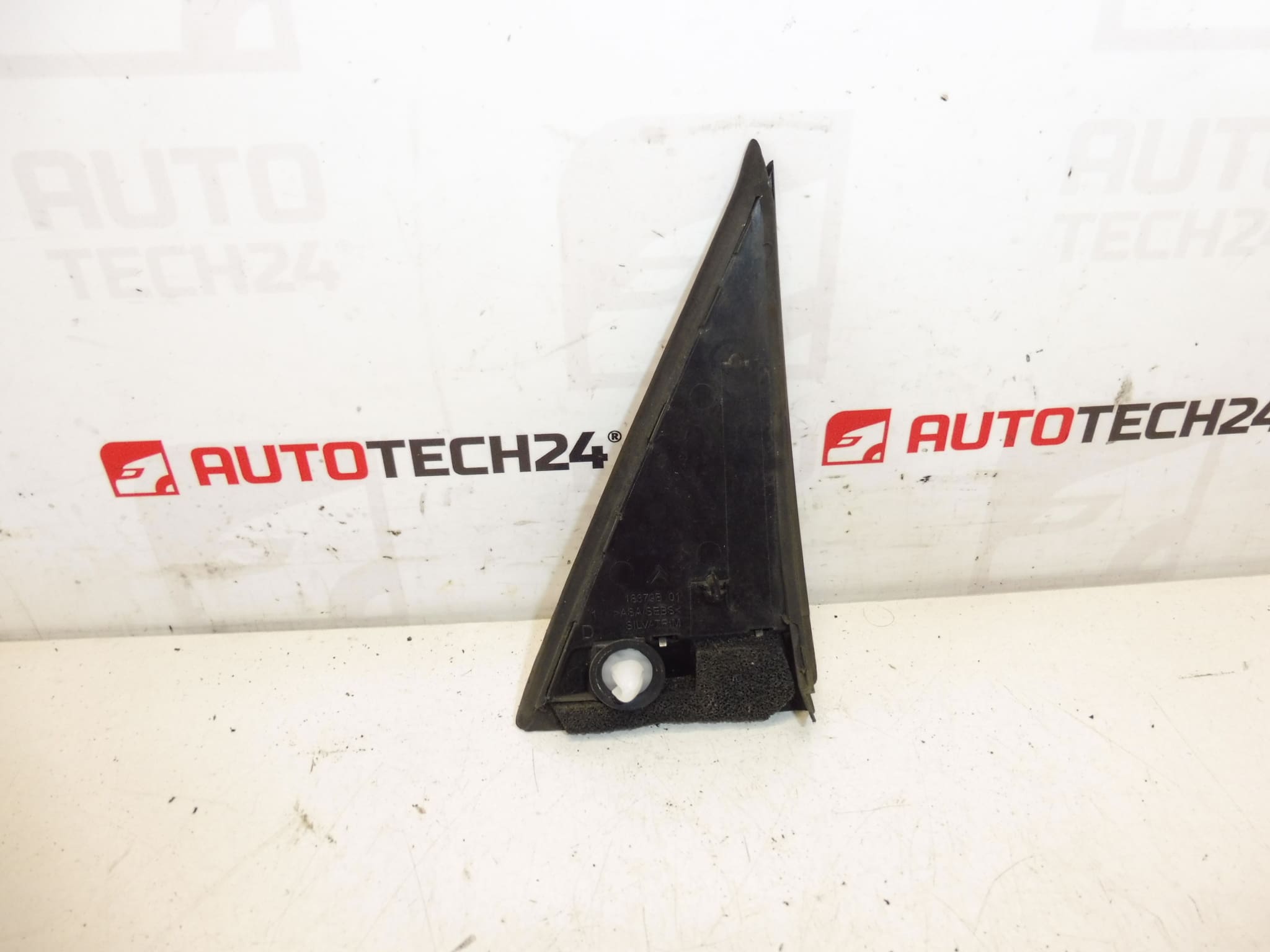 Front Cover For Right Mirror Citroën C3 II A51 9025V9 - Image 2
