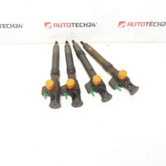 Injection set Bosch 2.0 HDI mileage 141000 km 9674984080