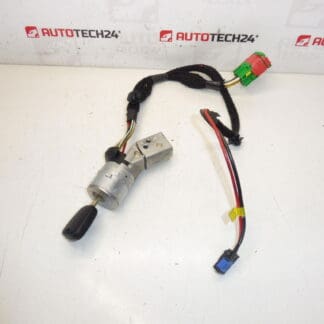 Switch box 1 key Peugeot 307 4162AS