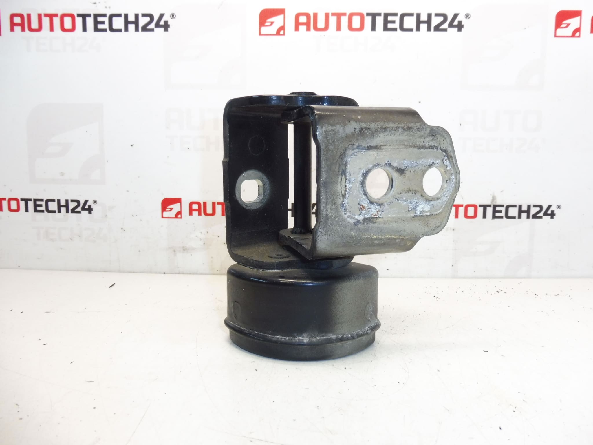 left front door hinge EXLD Peugeot 207 9035T5