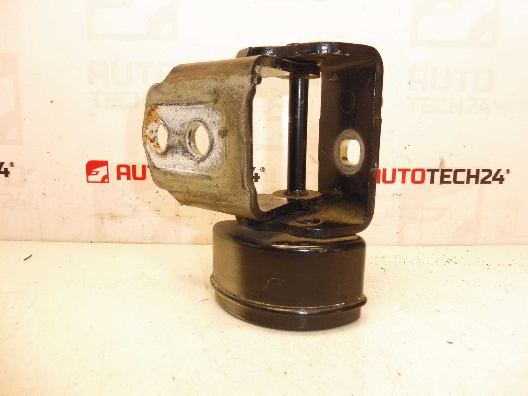 right front door hinge EXLD Peugeot 207 9035T4