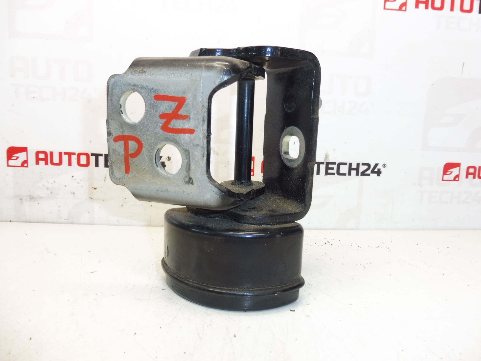 right rear door hinge EXLD Peugeot 207 9037C0