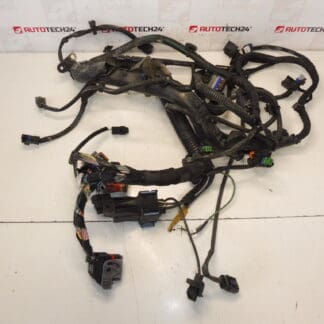 Harness Citroën Peugeot 2.0HDI RHJ 9684608680 6569RY