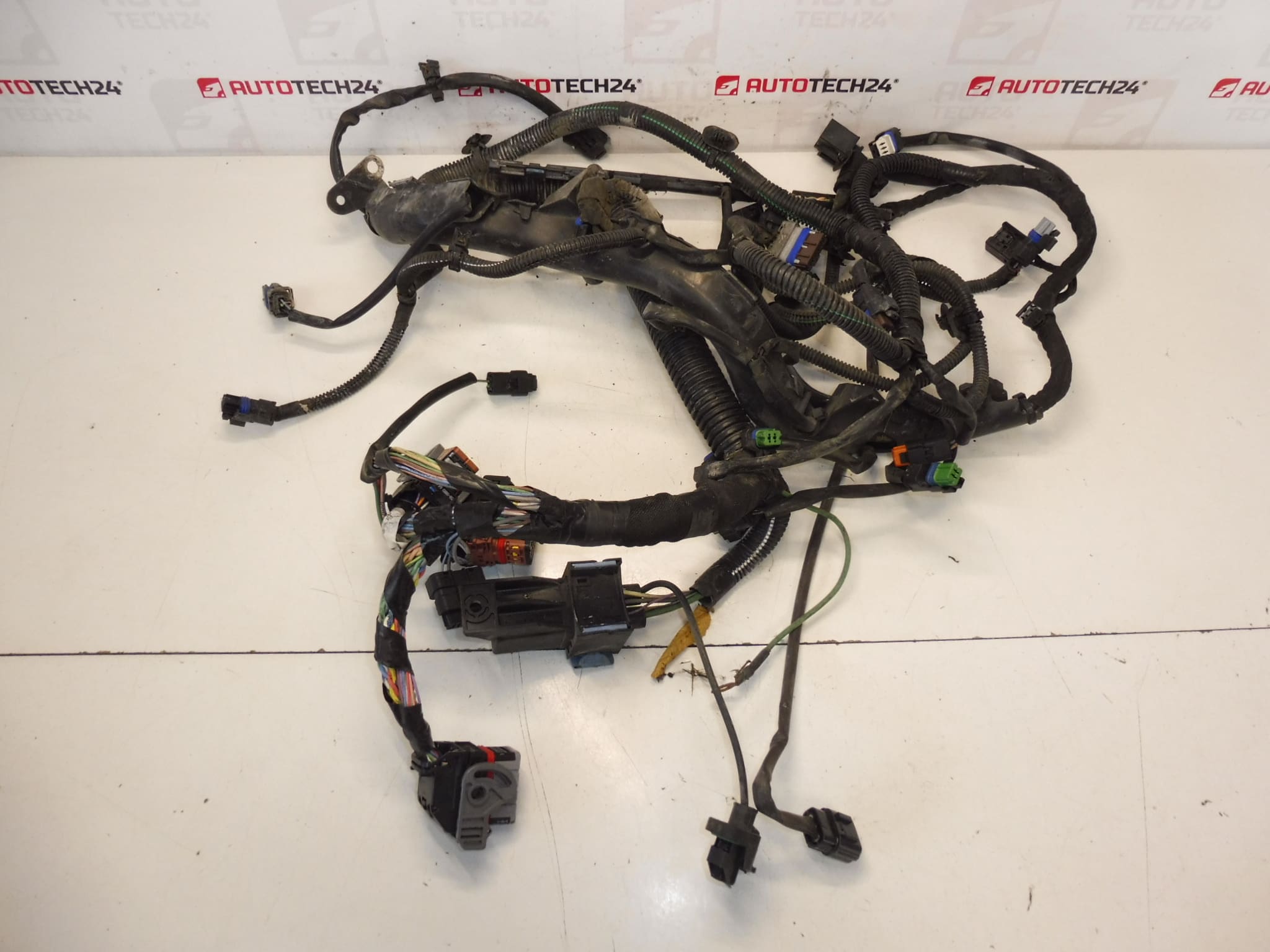 Harness Citroën Peugeot 2.0HDI RHJ 9684608680 6569RY