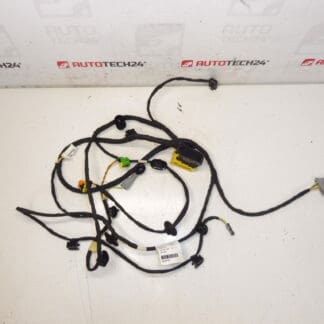 Passenger seat harness Citroen C4 Picasso Valeo 6505W1 5243584