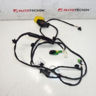 Peugeot 308 T7 passenger seat harness 6509W1